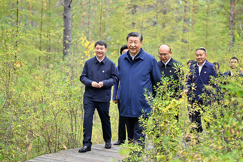 9月6日至8日，中共中央總書(shū)記、國(guó)家主席、中央軍委主席習(xí)近平在黑龍江考察。這是6日下午，習(xí)近平在大興安嶺地區(qū)漠河市漠河林場(chǎng)自然林區(qū)考察